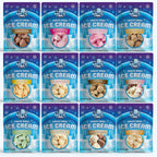 Freeze Dried Ice Cream Bundle (1oz Bags)