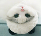 Panda costume pet hat