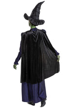 Elphaba Deluxe Wicked Woman's Costume Adult Officially Licensed