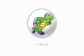 RaceDots: Magnetic Race Number Positioning System 4-Pack (Turtle) - 