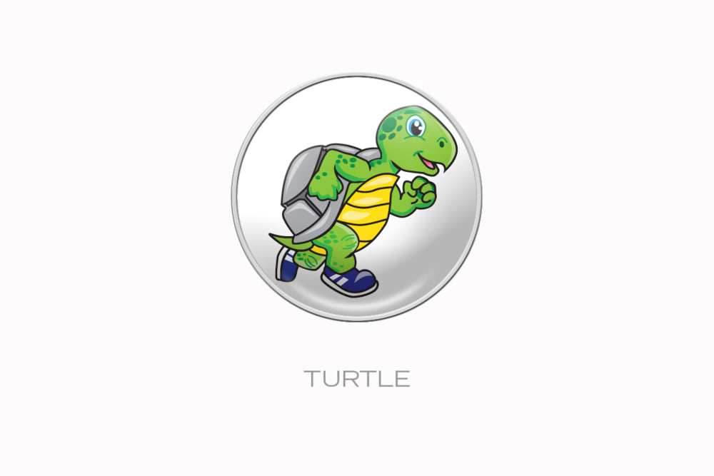 RaceDots: Magnetic Race Number Positioning System 4-Pack (Turtle) - 