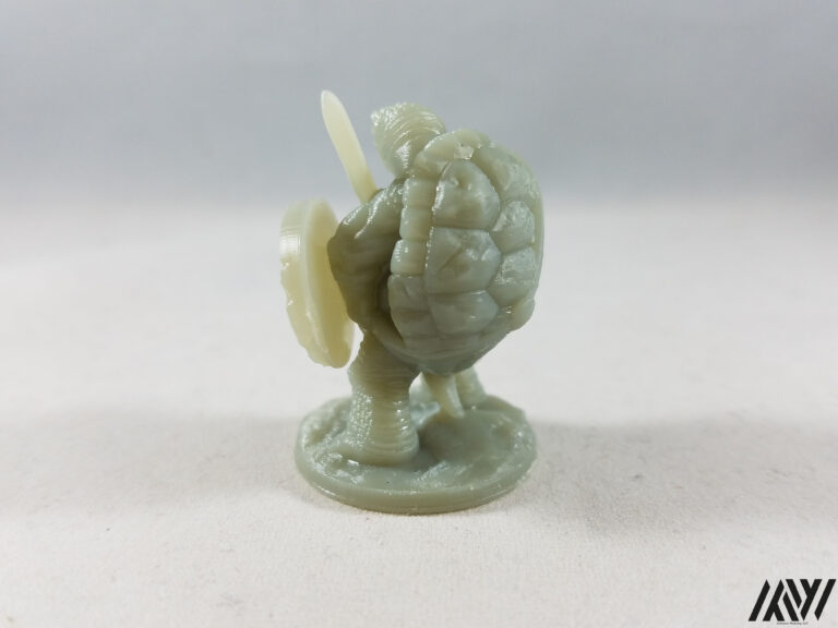 Turdle w/ Sword
