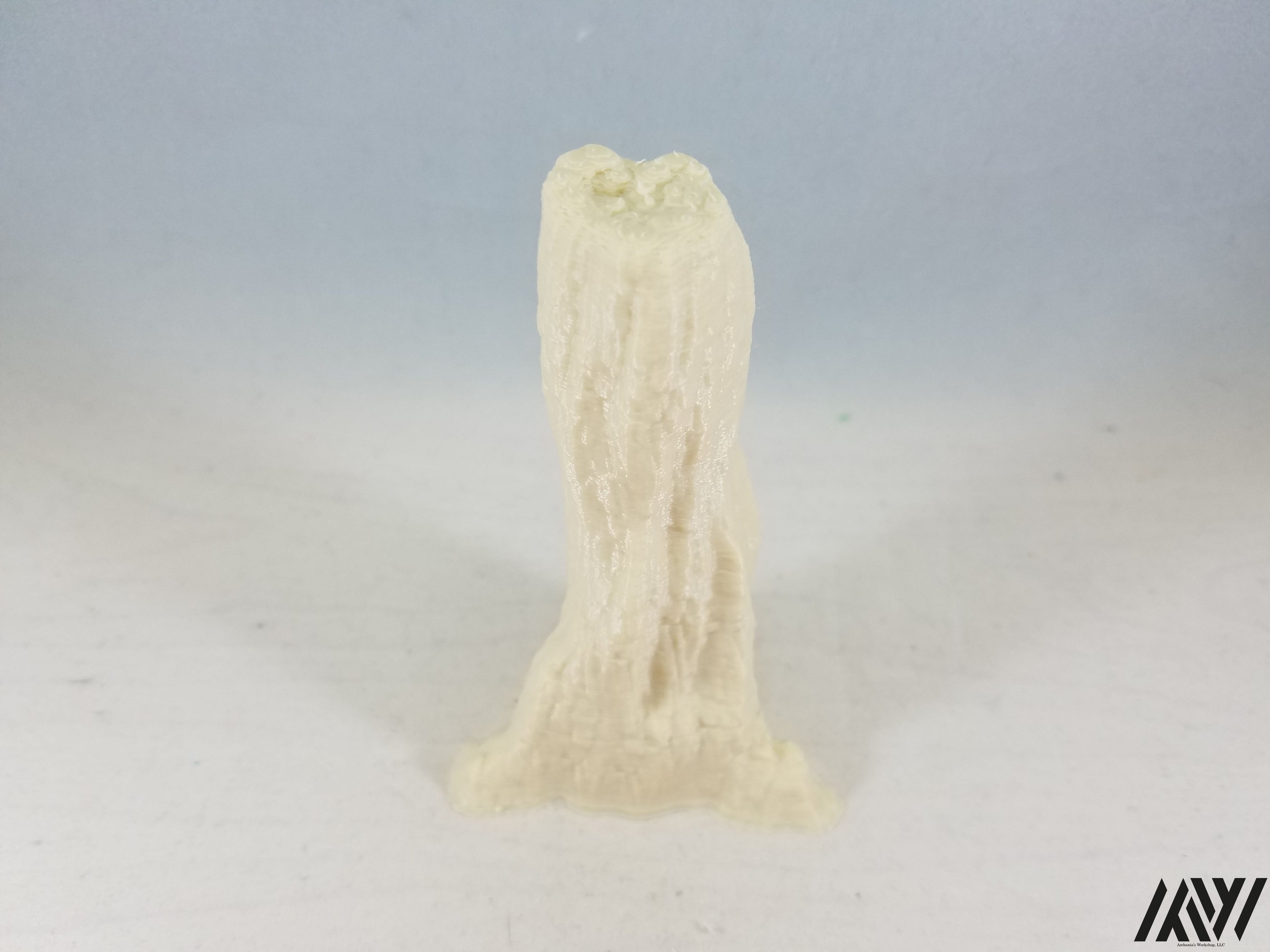 Tree Stump