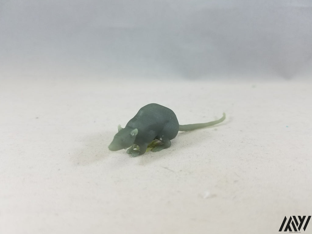 Large Rat