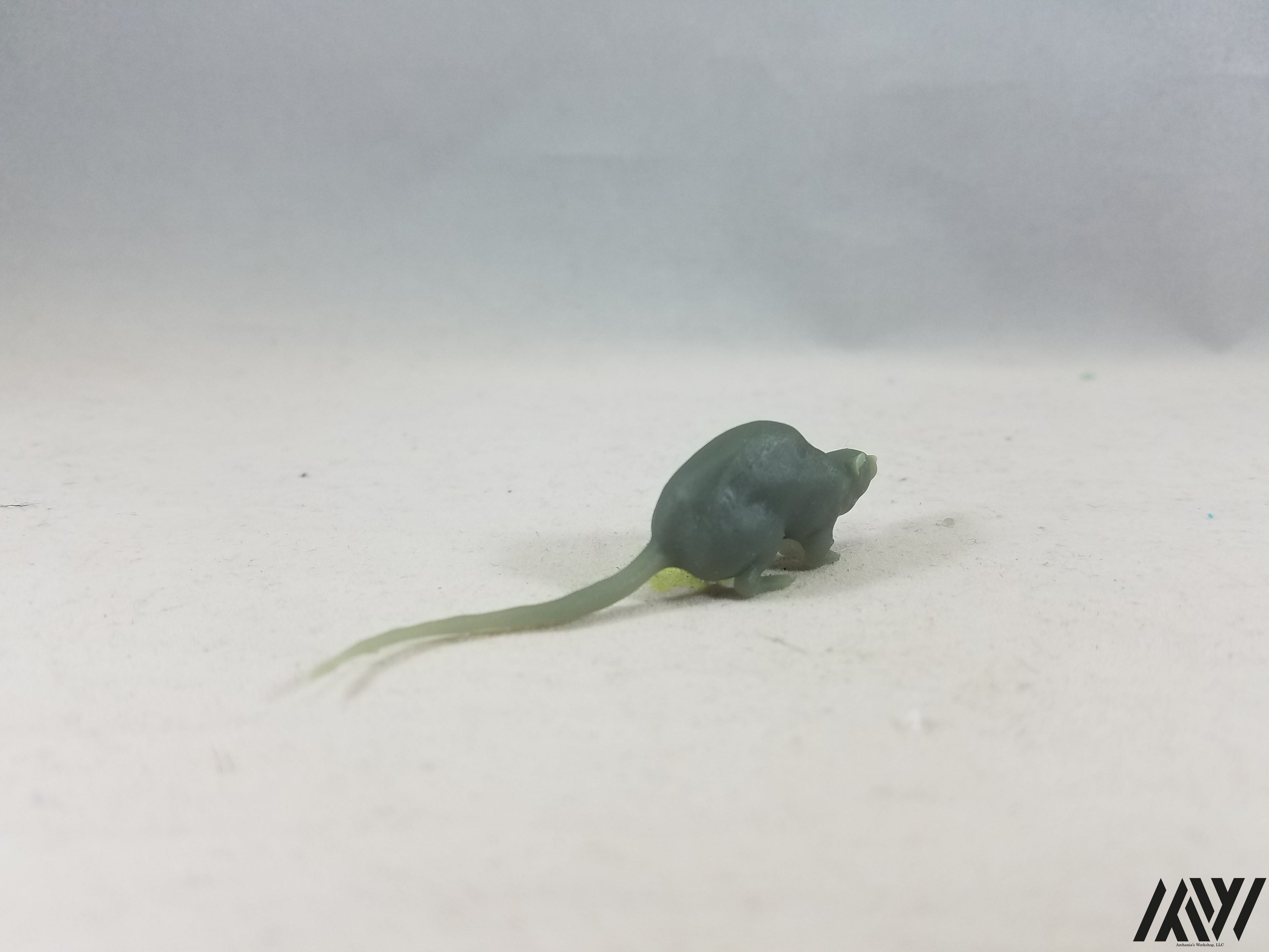 Large Rat