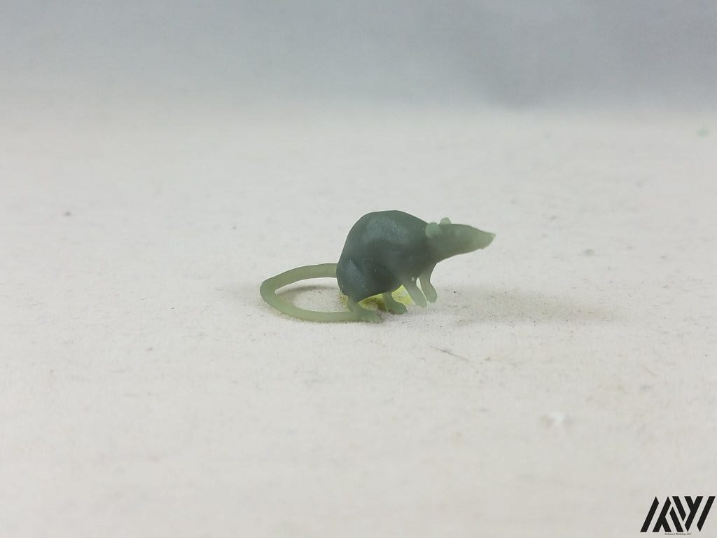 Small Rat
