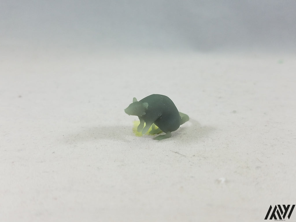 Small Rat