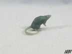 Small Rat