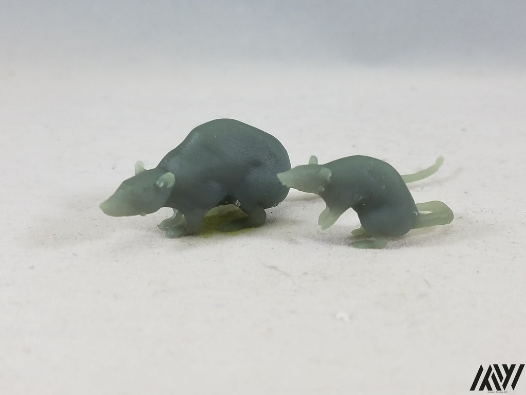 Rat Set