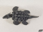 Dragon Turtle 1