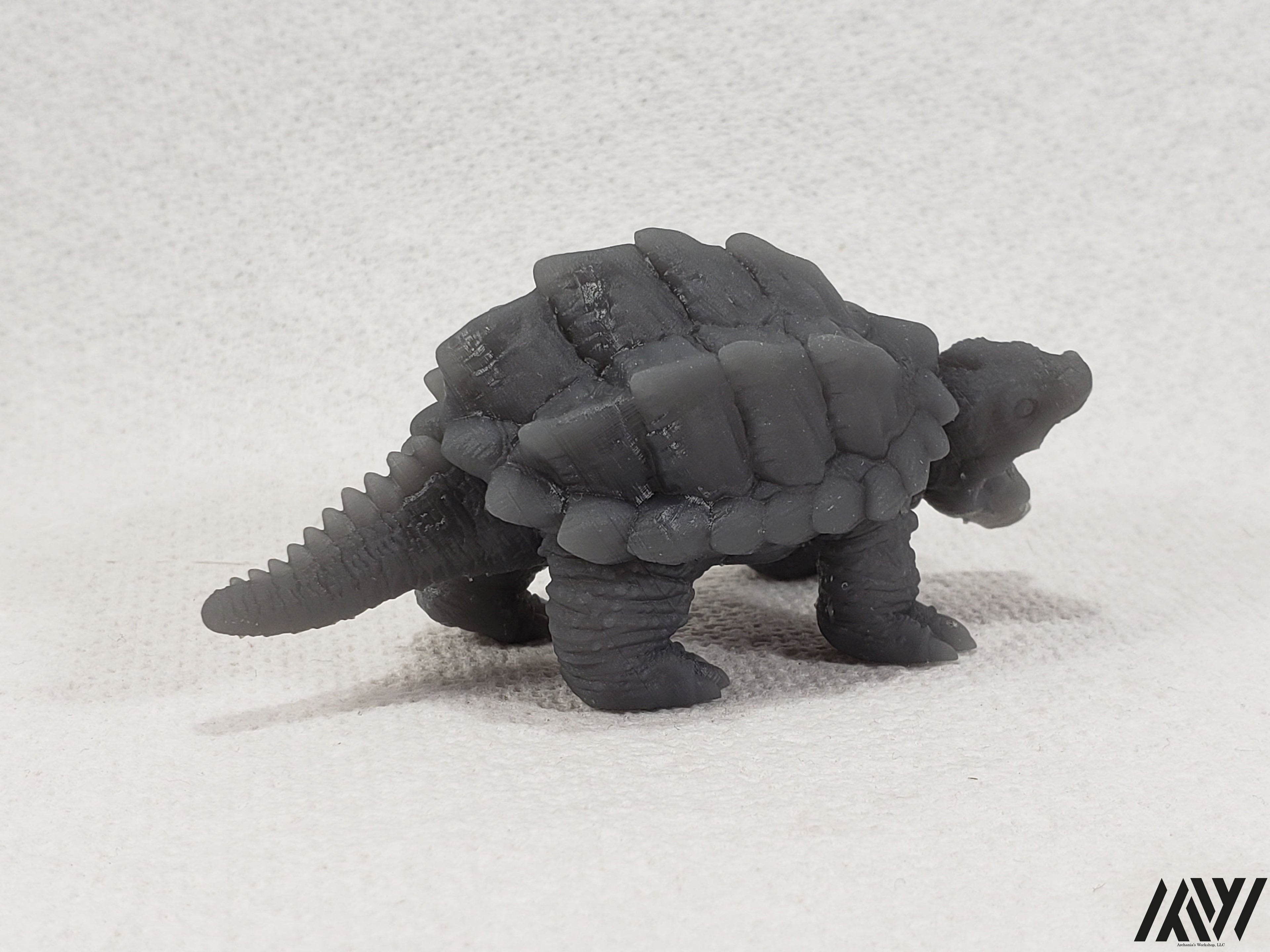 Snapping Turtle 2