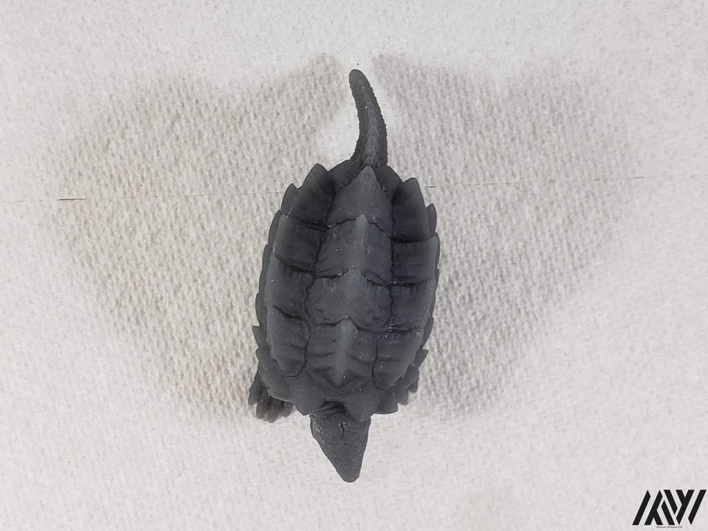 Snapping Turtle 1