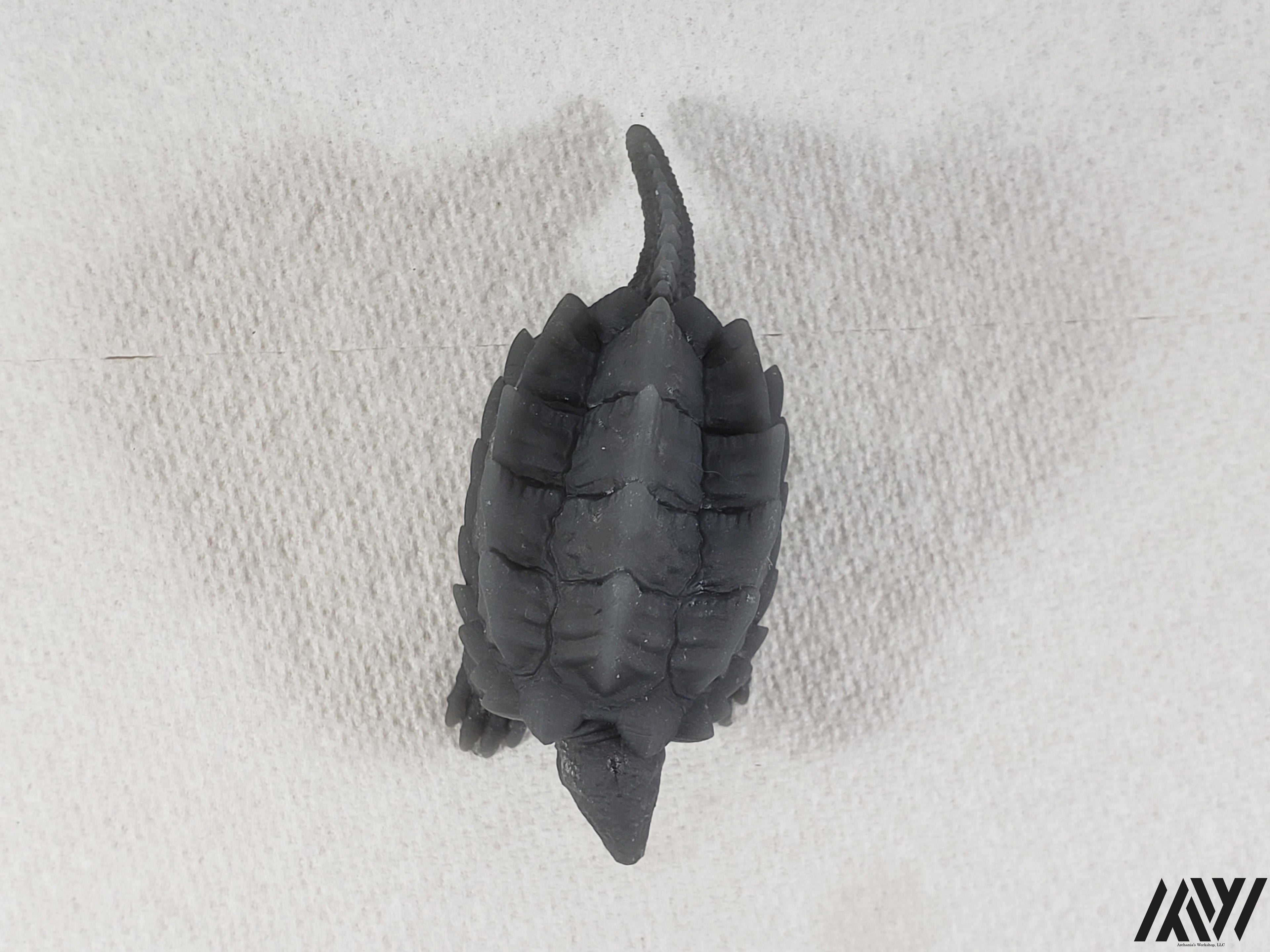 Snapping Turtle 1