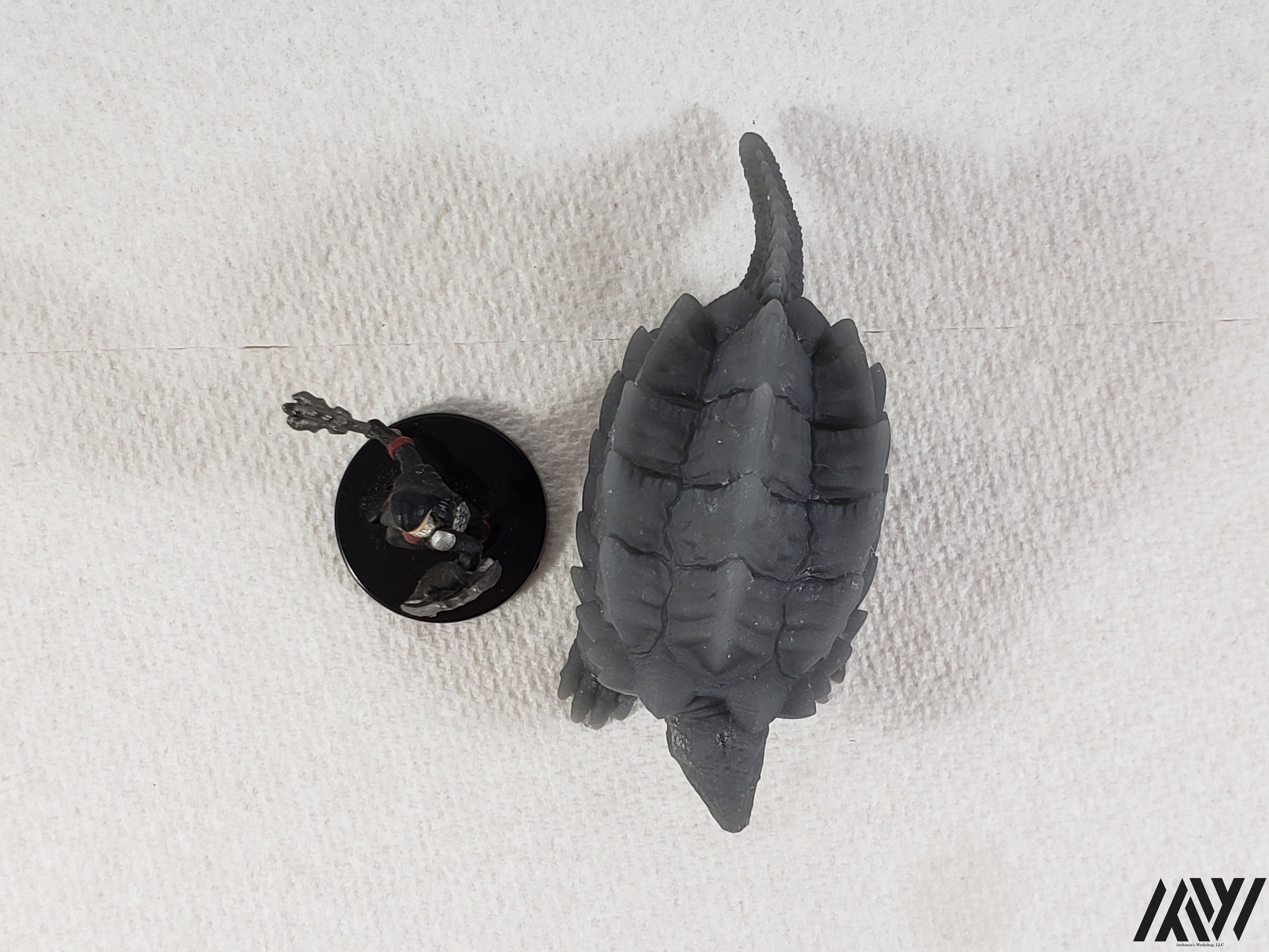 Snapping Turtle 1