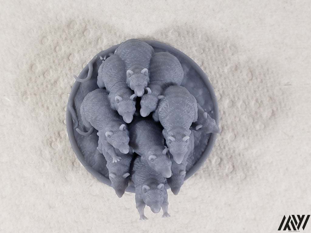 Rat Swarm