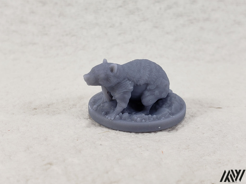 Swamp Rat
