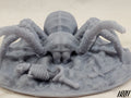 Giant Spider