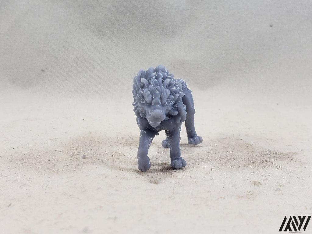 Wolf