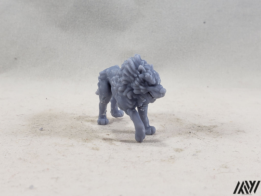 Wolf