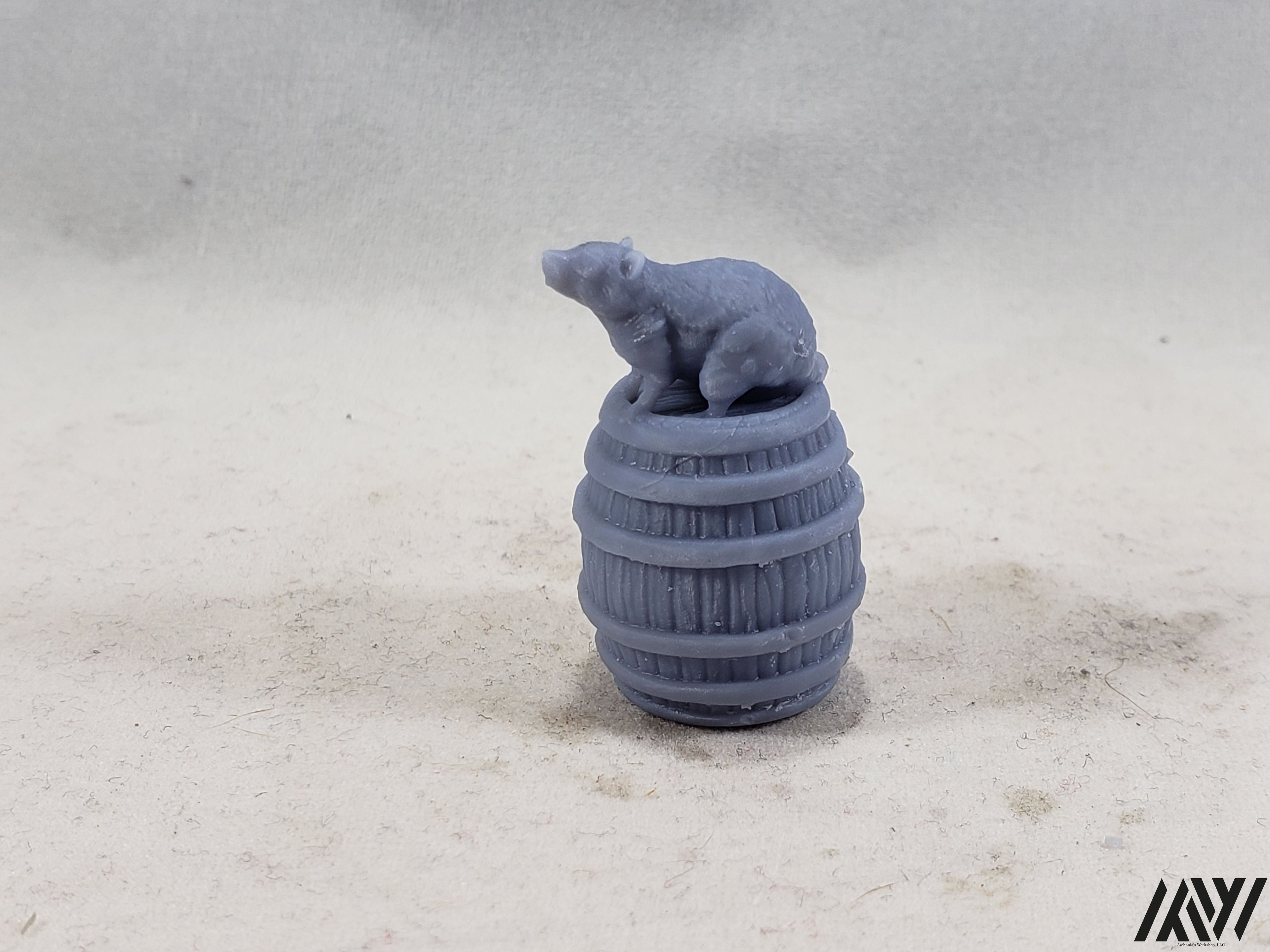 Rat on Barrel