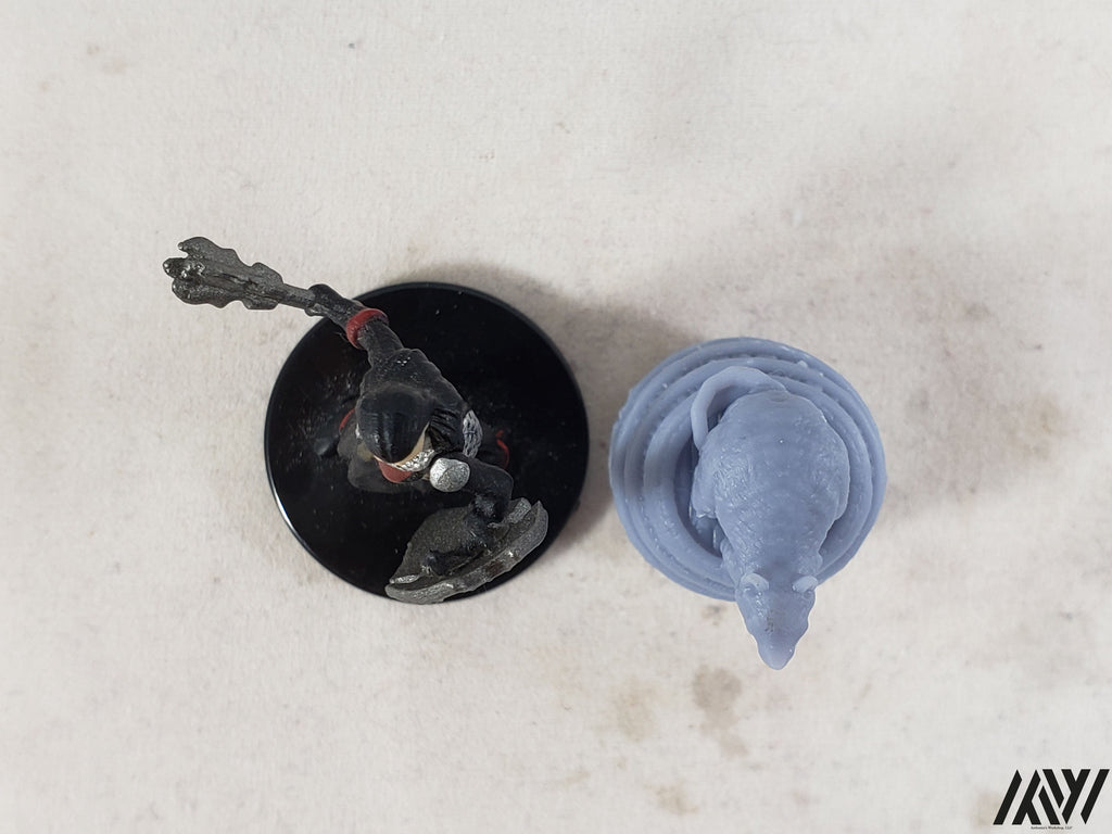 Rat on Barrel