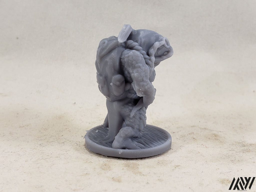Totu - Murkbluut Guide of the Swamps