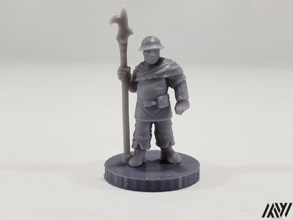 Town Guard 1