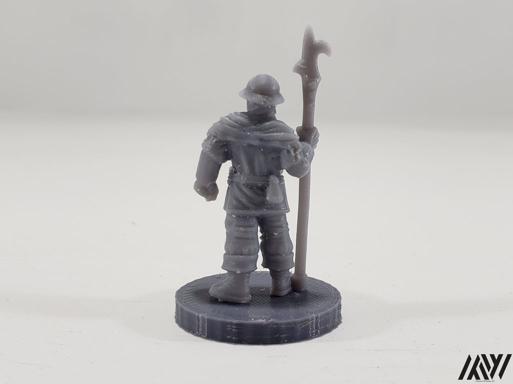 Town Guard 1