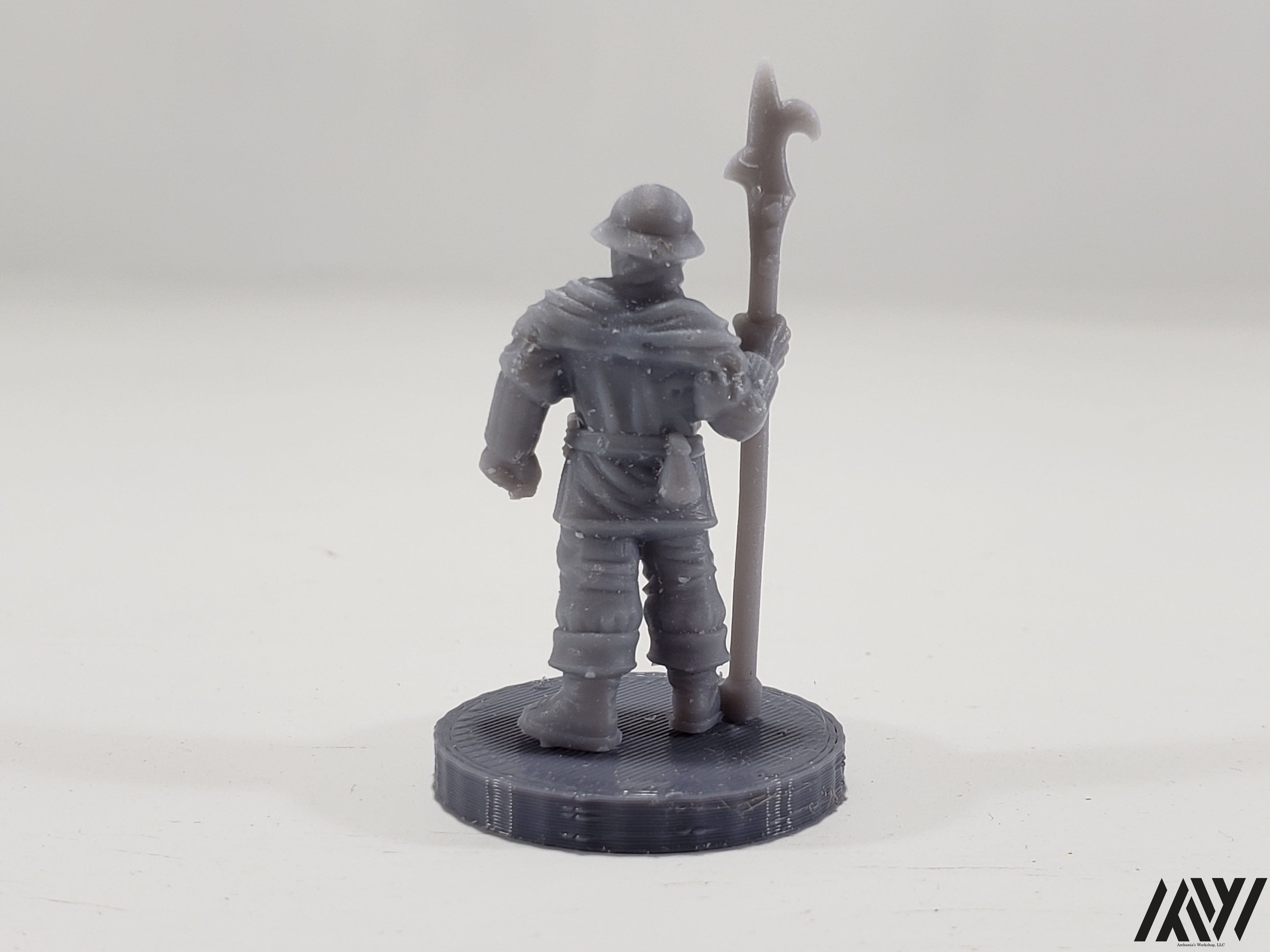 Town Guard 1