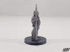 Town Guard 1