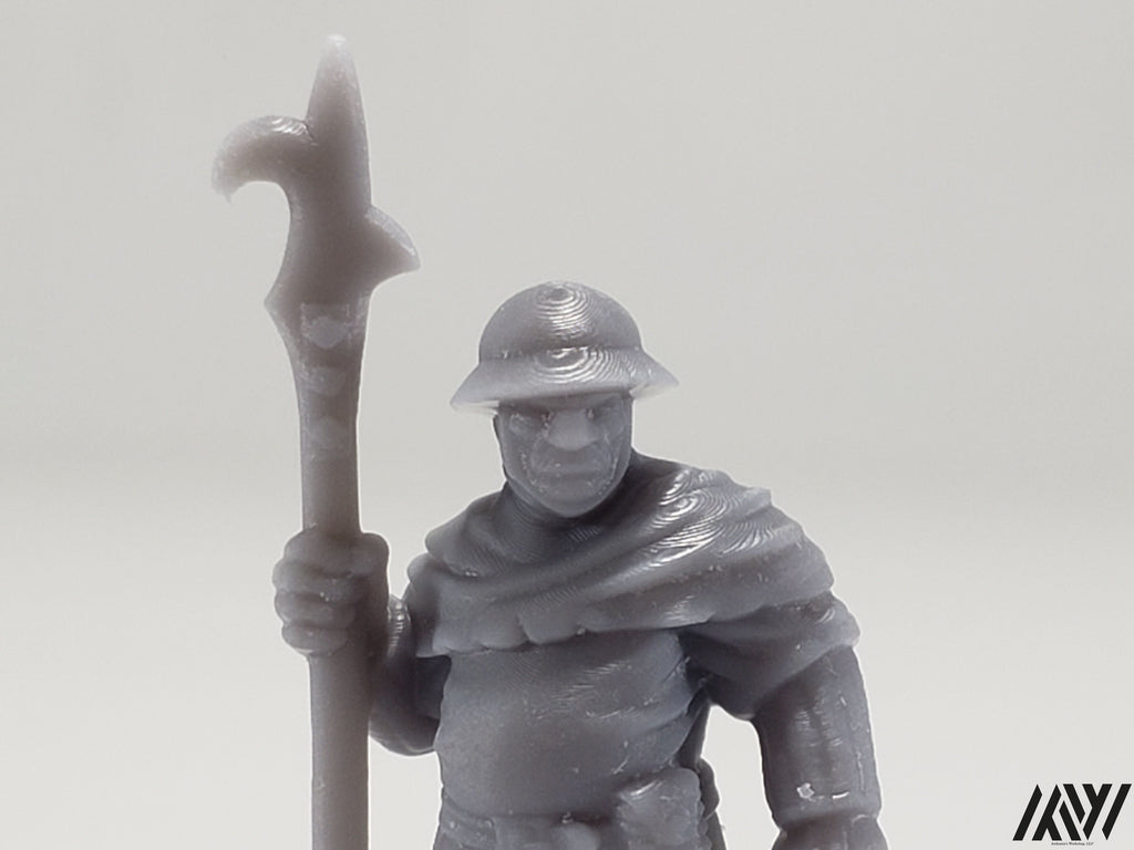 Town Guard 1