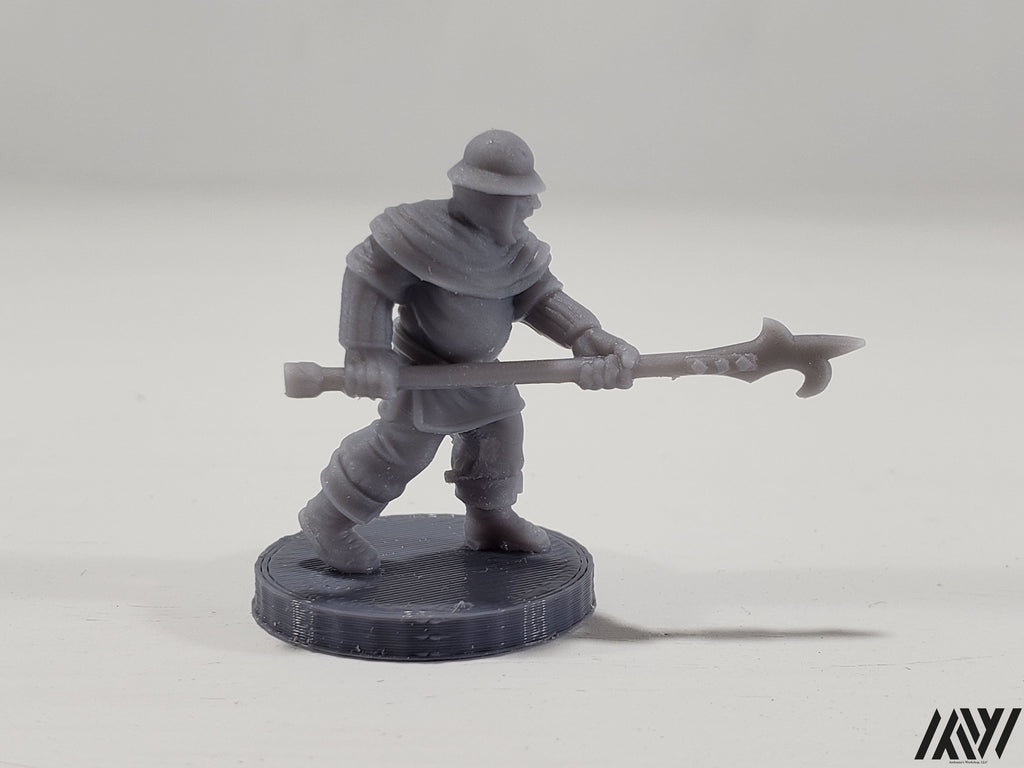Town Guard 3