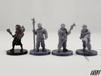 Town Guard Set