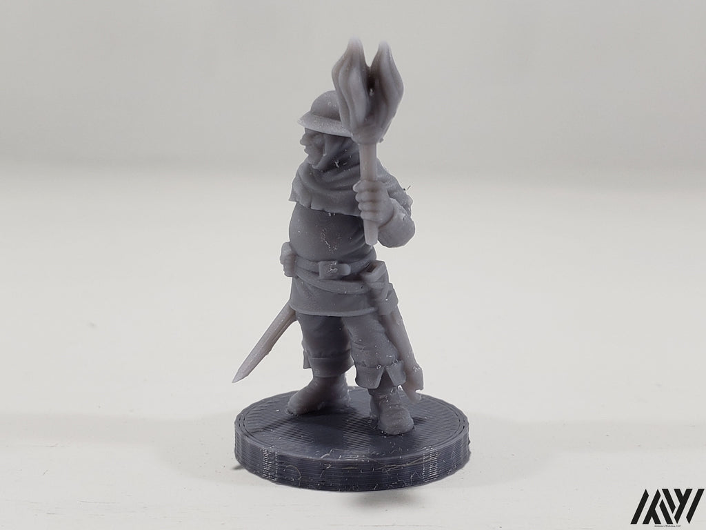 Town Guard with Torch 1