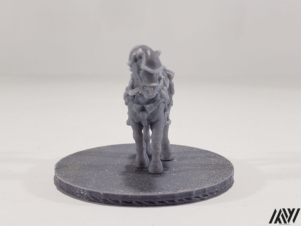 Horse A