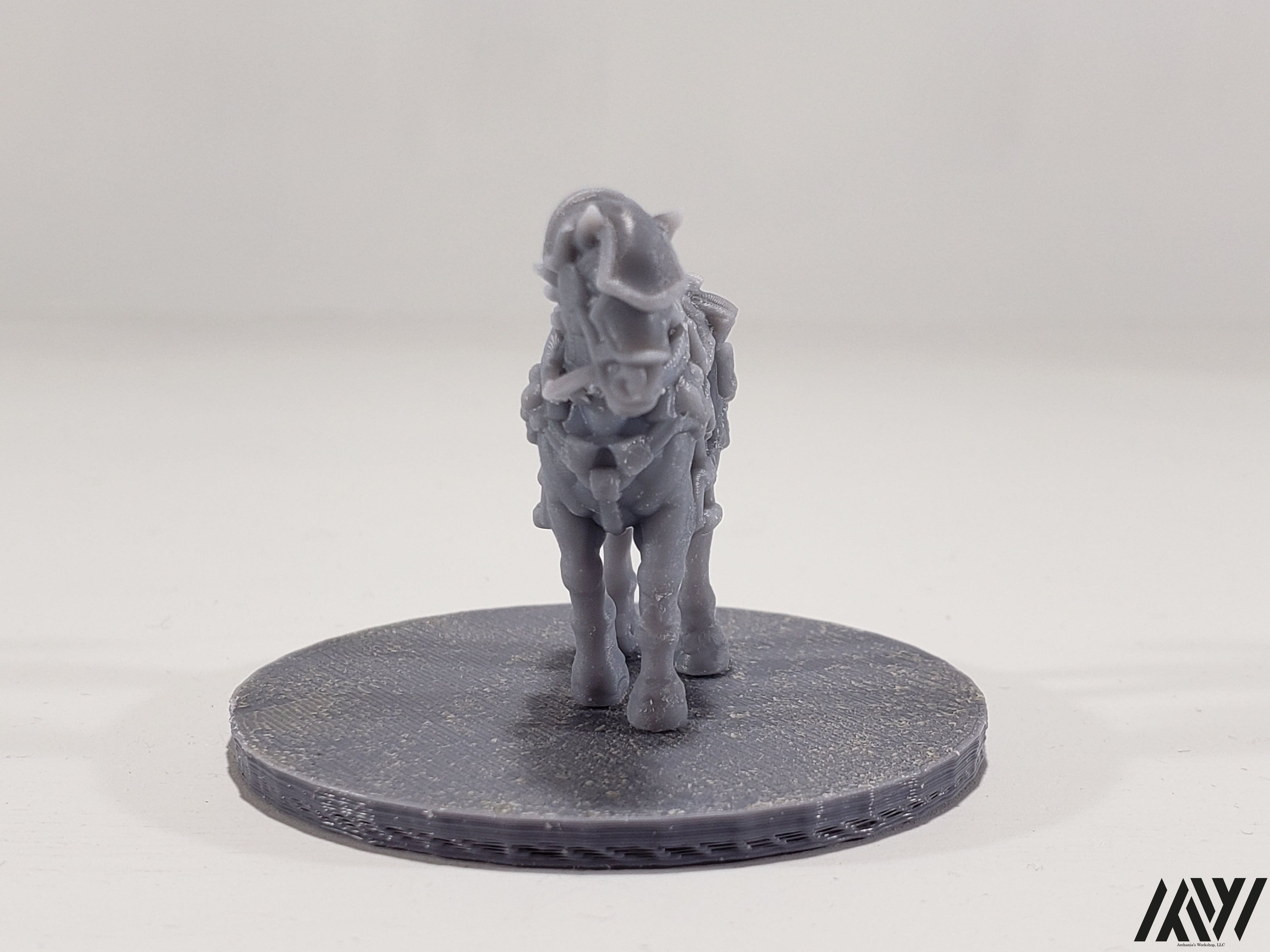 Horse A