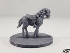 Horse A