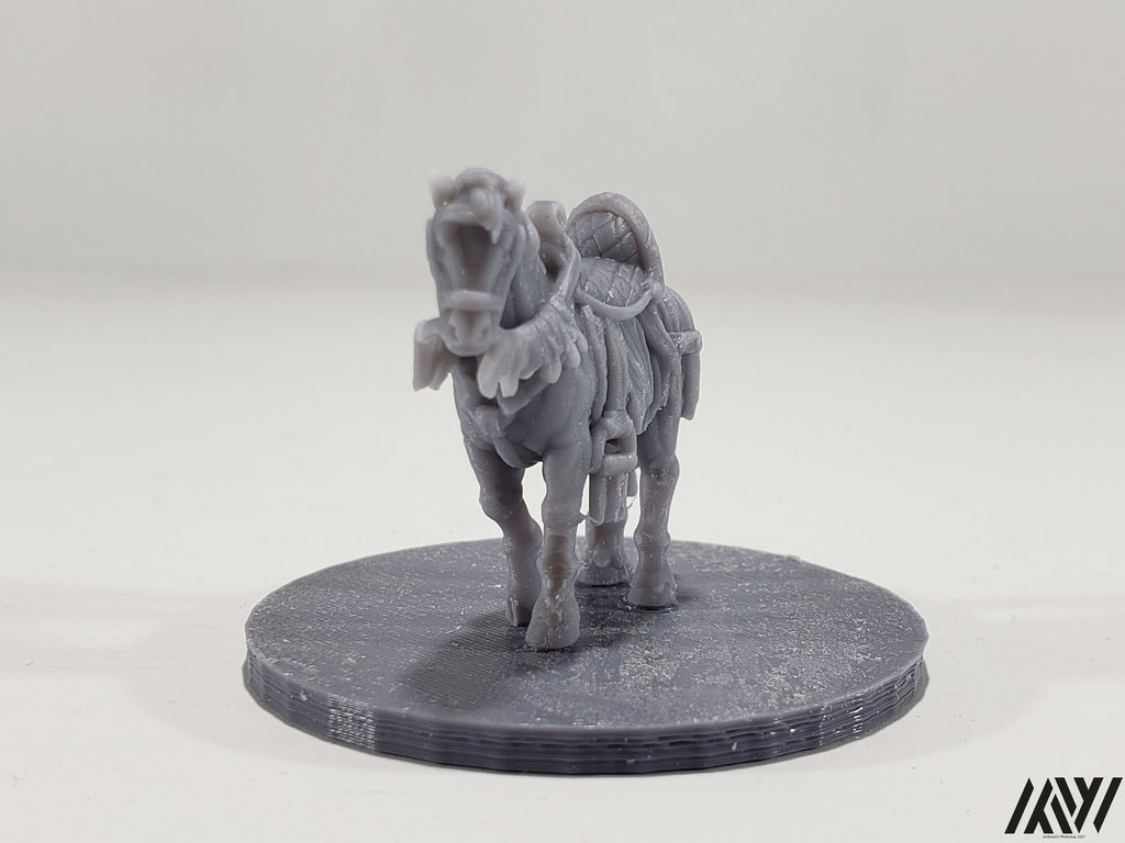 Horse B