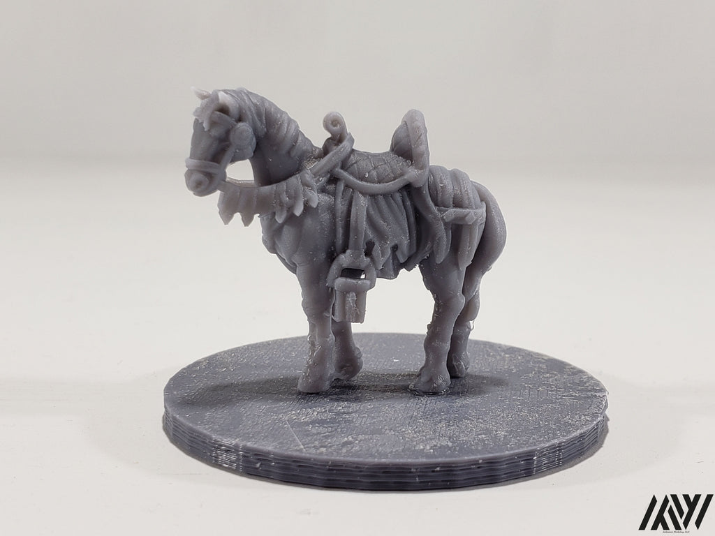 Horse B