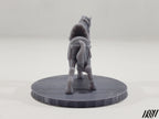 Horse D