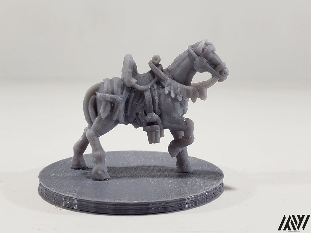 Horse D