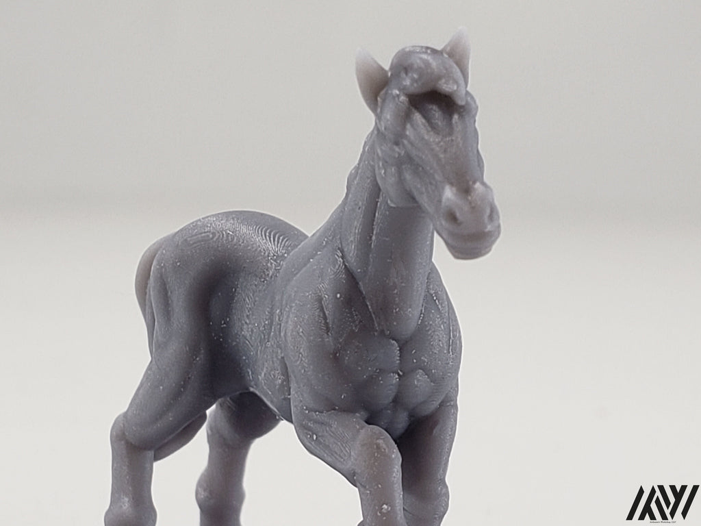 Horse E
