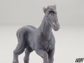 Horse E