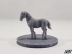 Horse F