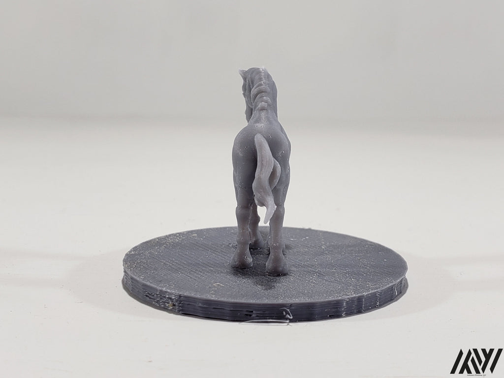 Horse F