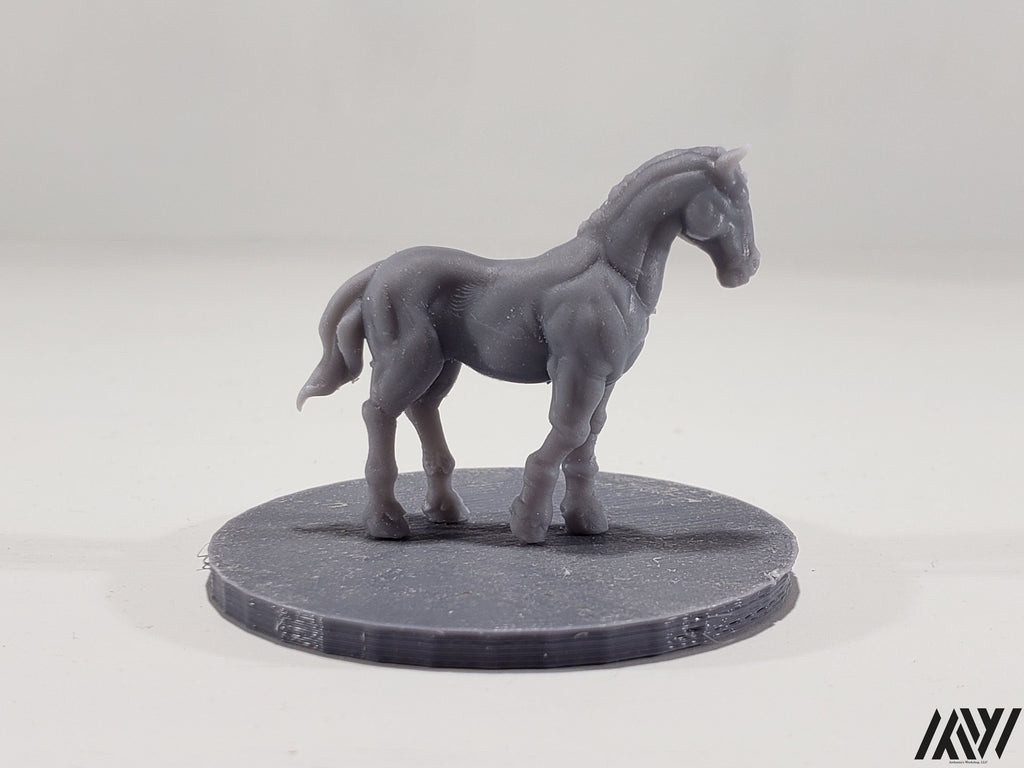 Horse F