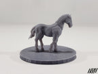 Horse F