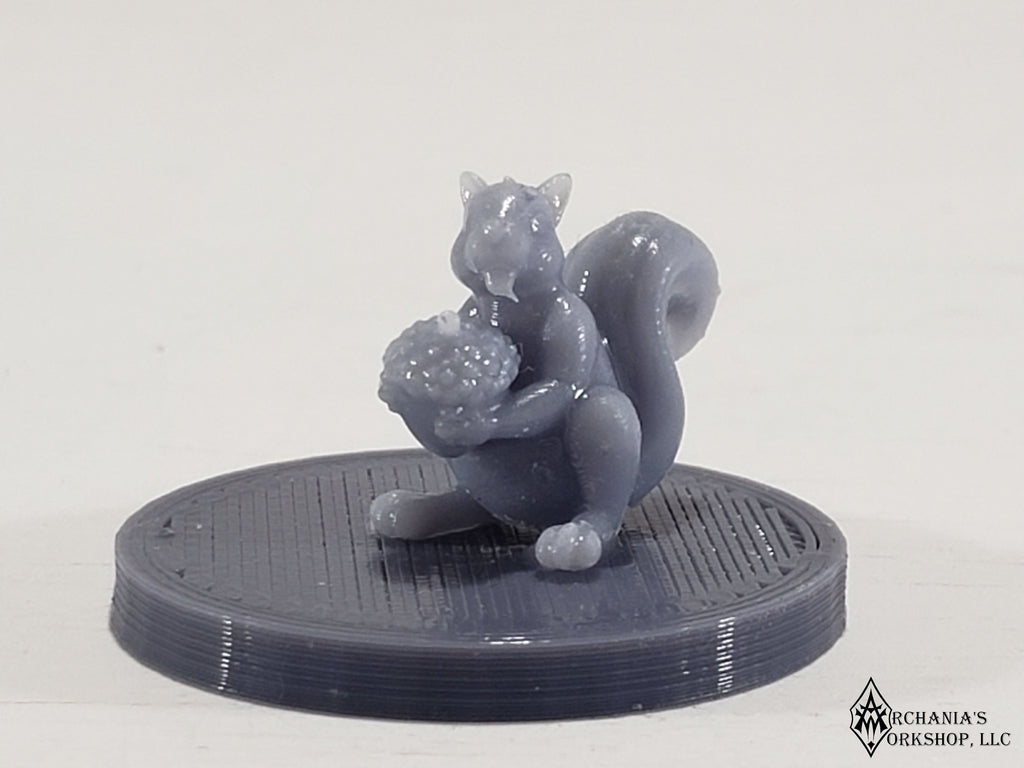 Squirrel