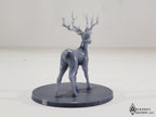 Deer
