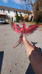 Phoenix Metal Wall Art – 23x23 Inch Plasma Cut Steel Wall Decor with Translucent Blue or Red Powder Coat – Sun Catching Home Accent